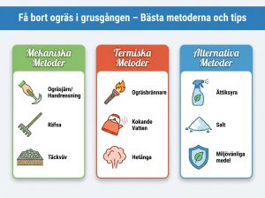 Infographie cheat sheet : Få bort ogräs i grusgången - bästa metoderna och tips